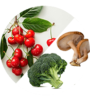 Superfood, Antioxidant & Mushroom Blend