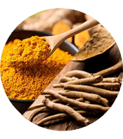 Nutrient-Dense Natural Herbs & Extracts
