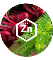 Zinc + Beet + Phyllanthus