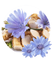 Probiotic