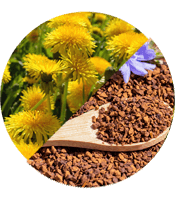 Dandelion + Chicory