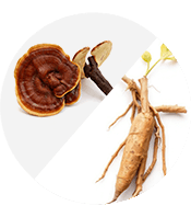 Metabolic & Adaptogen Support