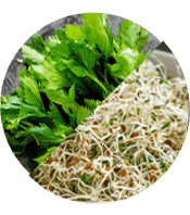 Proprietary Blend (Celery, Alfalfa…)