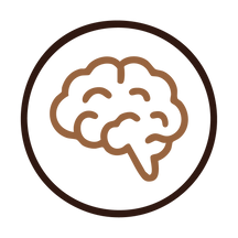 Boosts Brain Health & Mental Clarity