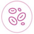 Support Thyroid-Related Pathways & Women's Wellness