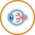 Enhances Healthy Blood Flow to the Eyes