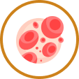 Improves Blood Circulation