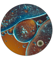 Alpha Galactosidase