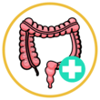 Balanced Gut Health
