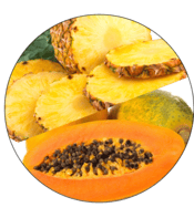 Bromelain + Papain