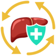 Liver Regeneration & Protection