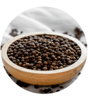 Boosted Absorption with BioPerine®