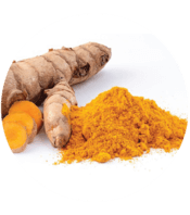 Powerful Turmeric + Curcumin Support