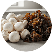White Button + Wood Ear