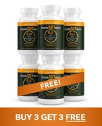 Vitalyra Gut Health 4in1