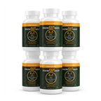 Vitalyra Gut Health 4in1