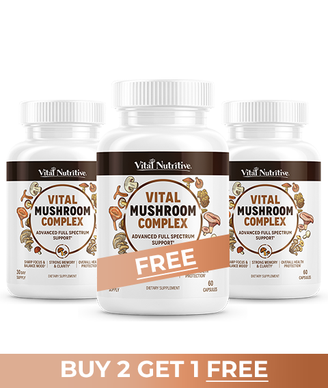 Vitalyra Mushroom Complex