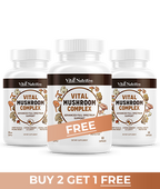 Vitalyra Mushroom Complex