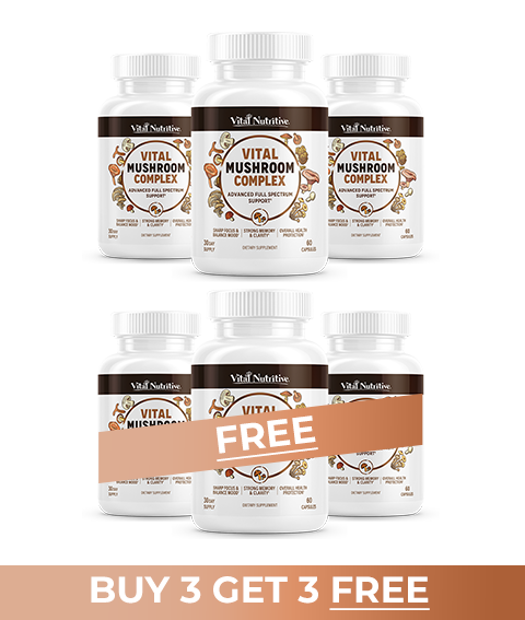 Vitalyra Mushroom Complex