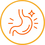 Better Digestion & Less Bloating