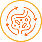 Gut & Microbiome Balance