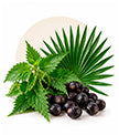 Hair Growth & Follicle Support