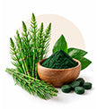 Strength, Volume & Shine Support