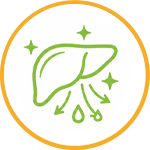 Complete Liver Detoxification