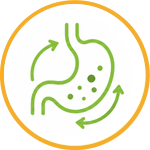 Enhanced Digestive Health