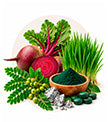 Superfood, Antioxidant & Mushroom Blend