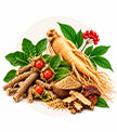 Metabolic & Adaptogen Support