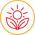Improved Blood Flow & Circulation