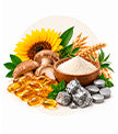 Testosterone & Vitamin Support