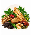 Metabolic & Performance Blend