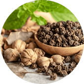 Black Pepper Extract