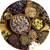 Botanic Extracts